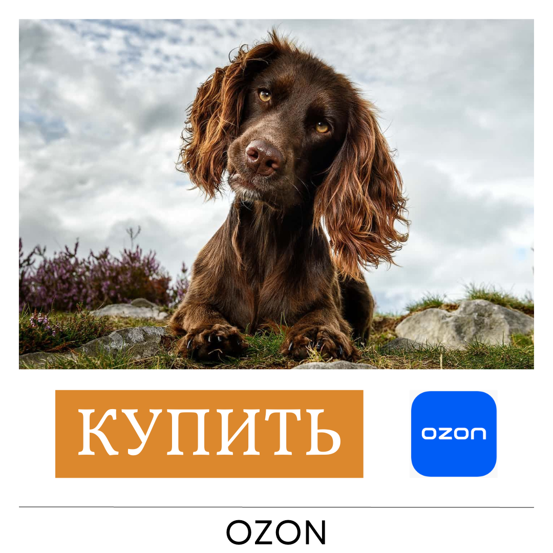 OZON